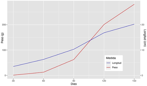 Gráfico, Gráfico de líneas

Descripción generada automáticamente